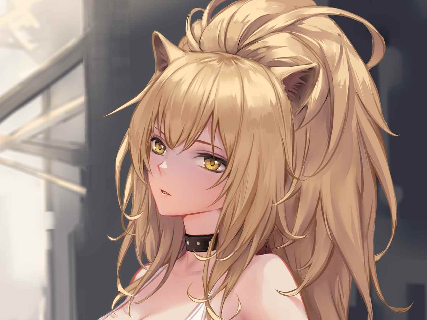 ChihunHentai高清动漫二次元系列图集合集打包下载493P 4.68GB-美了么