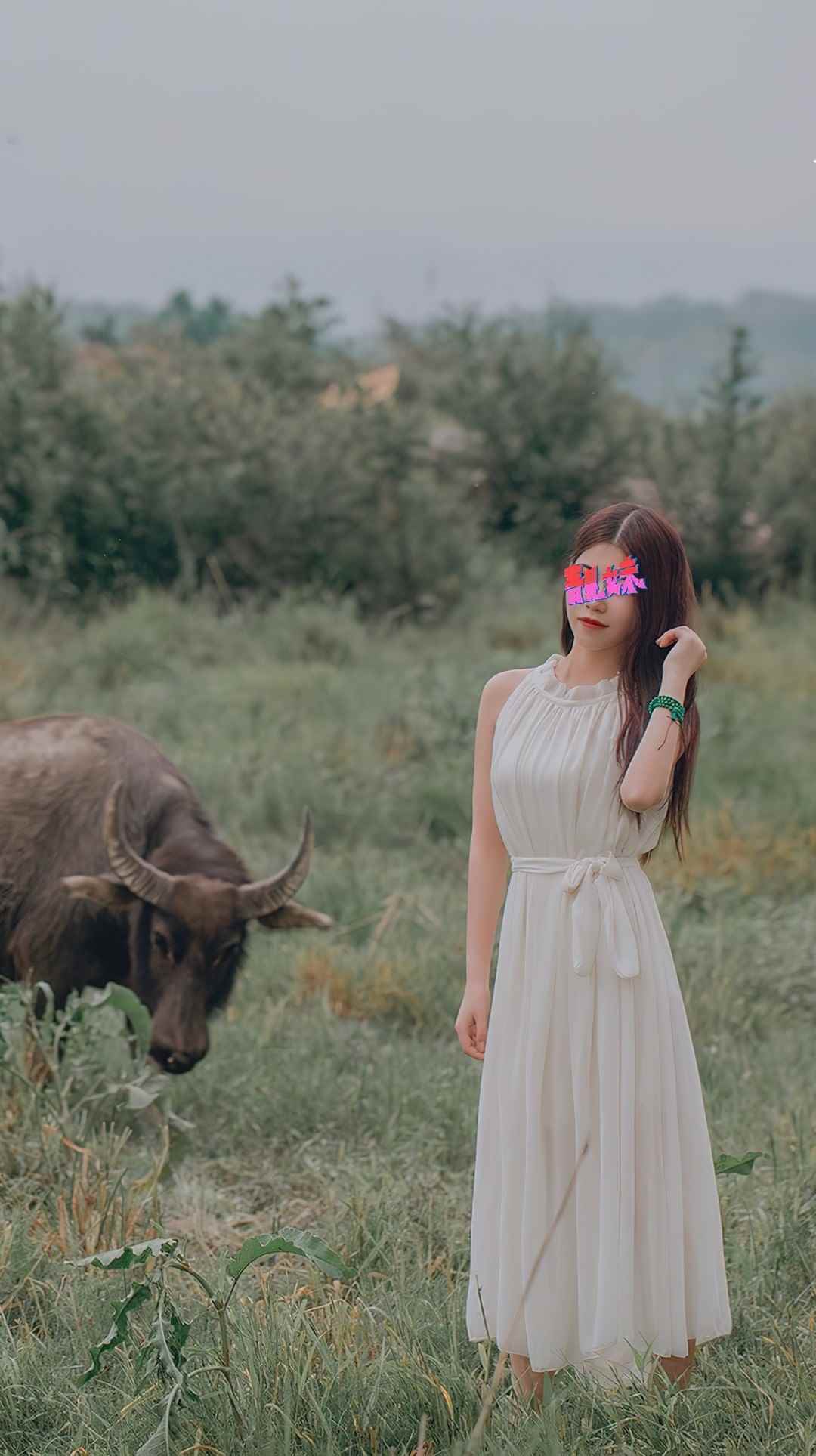 無塵美女写真图集合集打包下载230P 1GB-美了么