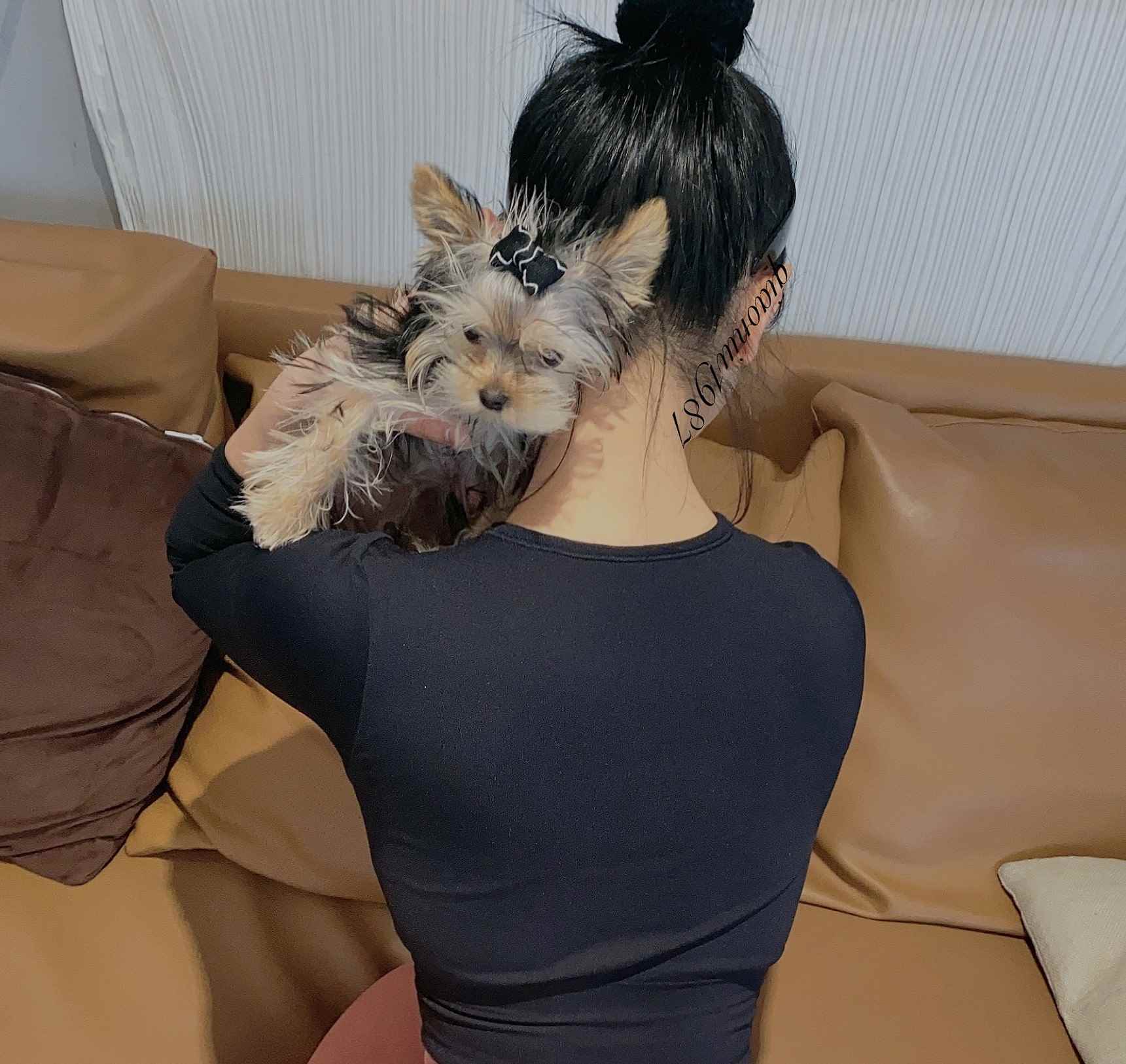 俏妞qiaoniuTT写真图集合集打包下载125套 21GB-美了么