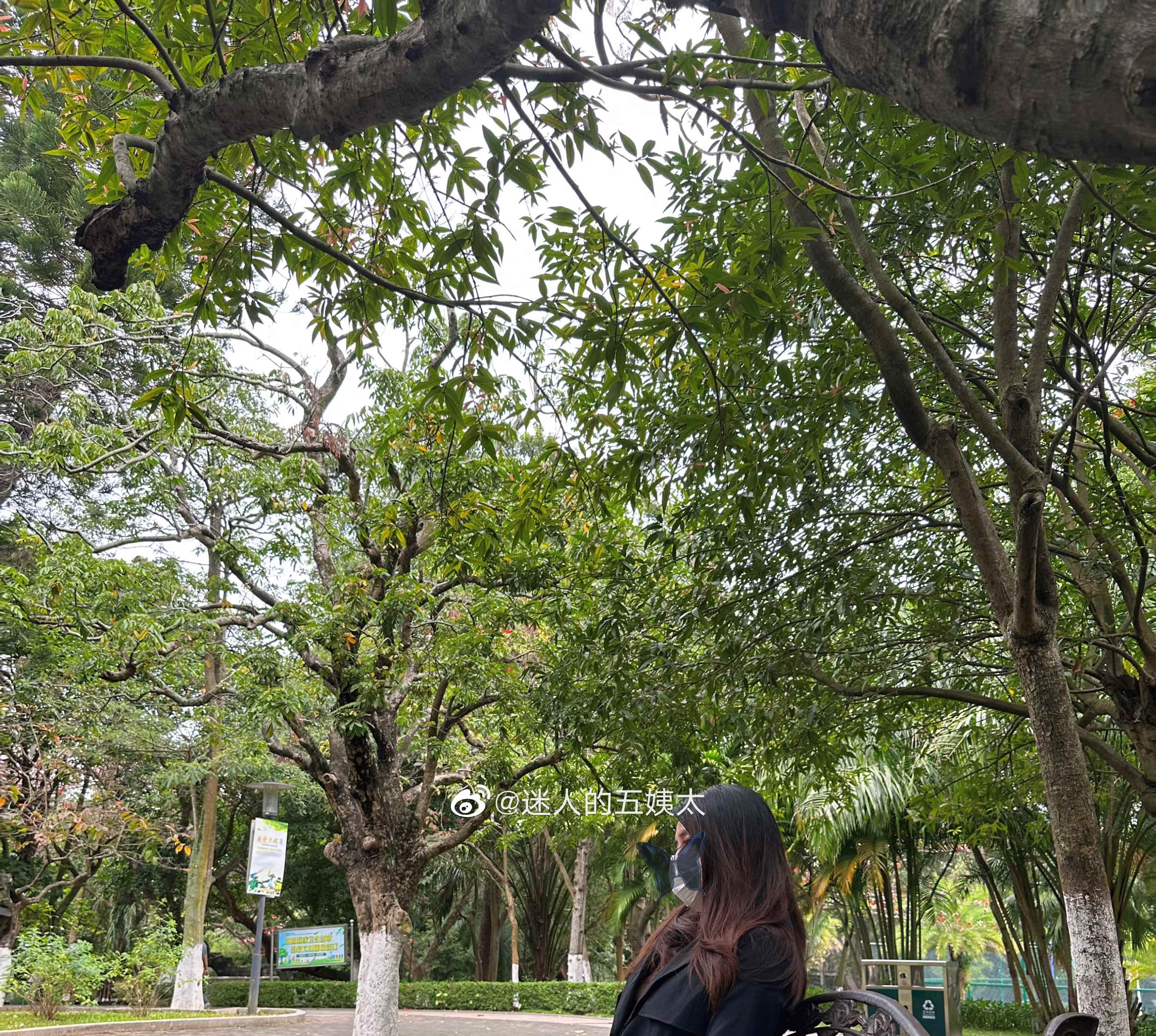 迷人的五姨太美女图集合集下载81套 23GB-美了么